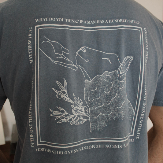 Dusty Blue t-shirt with white line art of a sheep being comforted by the hand of Jesus and the verse Matthew 18:12 written around the graphic. 